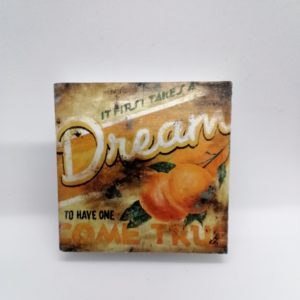 It first takes a dream, to ...
